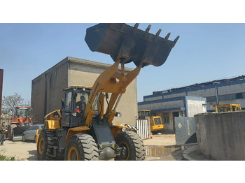 Loader LIUGONG 855H: picture 3