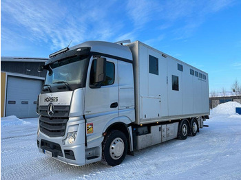 Livestock truck MERCEDES-BENZ Actros