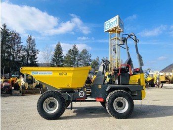 Mini dumper NEUSON