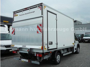 Refrigerated van Peugeot Boxer Kühlkoffer Xarios 300 GH  LBW: picture 4