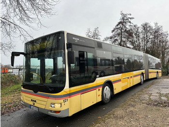 Articulated bus MAN Lion's City A23